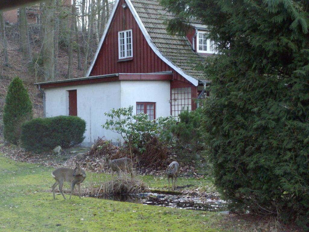 Villa Skovvej Holiday House 1 à Randers Extérieur photo
